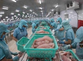 Image: Vietnam moves to widely popularise tra, basa fish in Australia