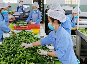 Image: Vietnam promotes export of key agricultural products
