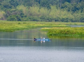 Image: Four forests near Ho Chi Minh City