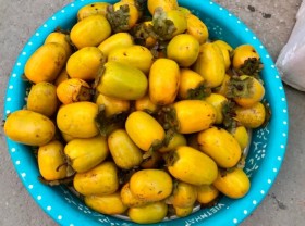 Image: Ha Giang specialties bought as gifts