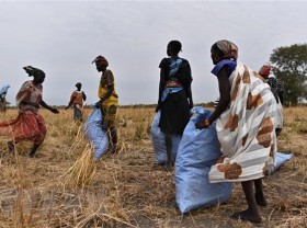 Image: UNSC: Vietnamese diplomat visits South Sudan as Chair of Committee 2206