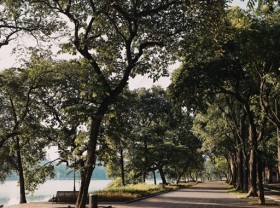 Image: Photo contest launched to capture green Hà Nội