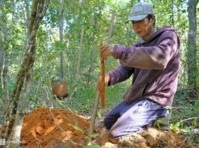 Image: Ta Cu forest yam hunting