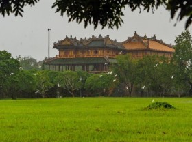 Image: The wonder of migratory birds in the Citadel of Hue