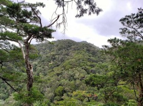 Image: Endemic creatures in the ‘roof’ of Gia Lai province