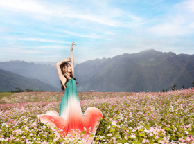 Image: Flowering seasons without tourists