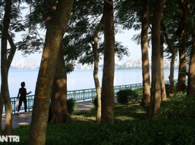 Image: Hanoi in the rhythm of the brilliant autumn sun