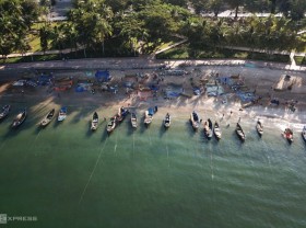 Image: Herring caught in Vung Tau fisherman’s net