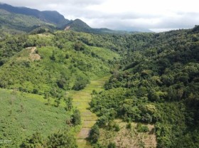 Image: The first natural forest to be granted an international certificate