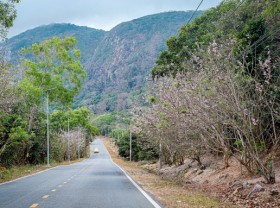Image: 8 unforgettable experiences in Con Dao in the windy season