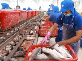 Image: Fishery exports projected to near 8.9 billion USD this year