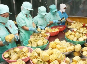 Image: More than 1,000 Vietnamese agricultural and food products eligible for export to China