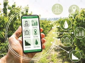 Image: Promoting comprehensive digital transformation in agricultural sector