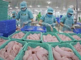 Image: Tra fish export value estimated at 1.54 billion USD this year