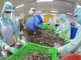 Image: Vietnam ranks fifth among aquatic product exporters of Japan