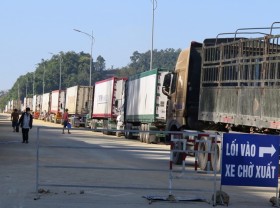 Image: Vietnam seeks solutions to ease congestion of agricultural products at border gates