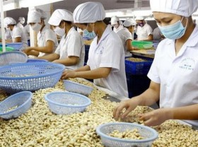 Image: Vietnamese cashew nuts see many prospects in German market