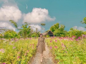 Image: Check-in the beautiful Long Van Garden tourist area in the heart of Phu Yen
