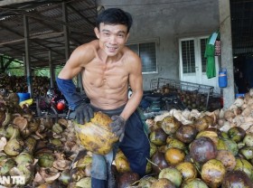 Image: Dozens of stages to make “rice” with sweet white coconut, a specialty of Ben Tre