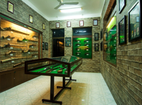 Image: Experiences not to be missed in Vung Tau