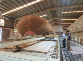 Image: Conversion to large timber forest: undeniable benefits