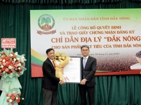 Image: Dak Nong receives geographical indication for locally grown pepper