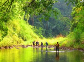 Image: ‘Green lung of the Southeast’ - when tourism joins forest protection