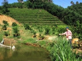 Image: Help farmers adapt to a better system