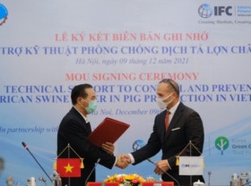 Image: IFC supports Vietnam in African swine fever prevention