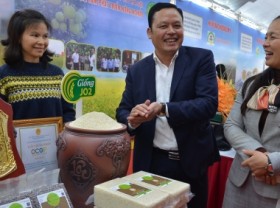 Image: Japonica rice - from ‘stranger’ to ’Hanoi’s close friend’