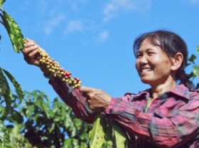 Image: Mindset reconstruction towards Central Highlands coffee