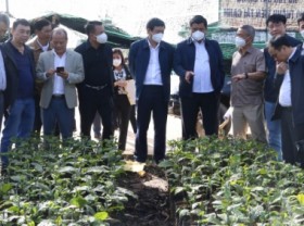 Image: Quickly proceed with the 'Sustainable Coffee Material Area' scheme