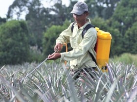 Image: The starting point of the path to sustainable agriculture development