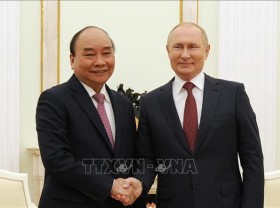 Image: Vietnam a focus of Russia's "pivot to the East" policy: expert