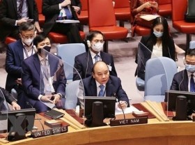Image: Vietnam makes valuable contributions to UNSC: UK Permanent Representative to UN