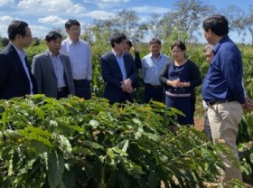 Image: VnSAT – A great model of international cooperation in agricultural development