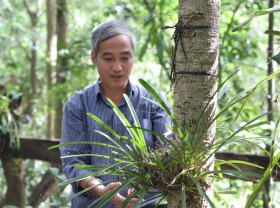 Image: See firsthand the largest orchid garden in Vietnam, with 200 types of “rare, hard to find”