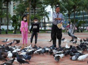 Image: The person who takes care of more than 1,000 pigeons by the East Sea