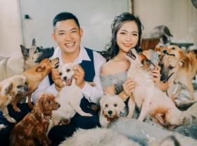 Image: Saigon Time Offers A New Chance At Life For Thousands Of Abandoned Pets