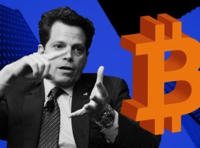 Image: Crypto News Jan 31 Bitcoin Will Still Hit $500,000 In Next 5 Years With News Polygon, Blockchain, Shiba Inu, Internet Computer, Coincheck, FTX, HappyLand, Uniswap