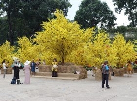 Image: HCM City Tết Festival 2022 opens