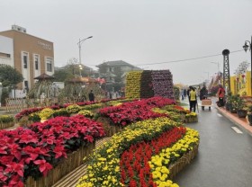 Image: New pedestrian and flower streets open in Hà Nội