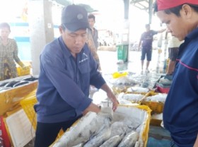 Image: Blue economy development in line with IUU prevention