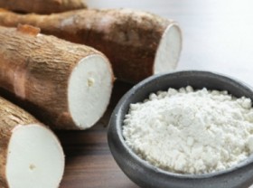 Image: China will continue to buy more cassava from Vietnam