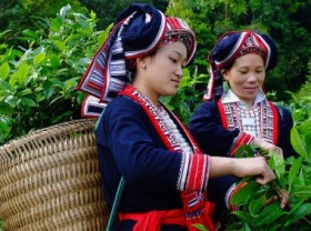 Image: Comprehensive, quick, and sustainable development of ethnic minority areas