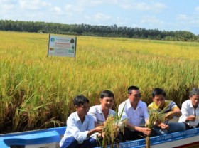 Image: Ecoagriculture - An option for Vietnam’s agriculture