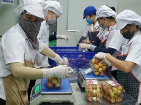 Image: Eight solutions to improve agro-product quality and market