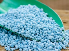 Image: Fertilizer exports hit an all-time record high