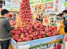 Image: Processed dragon fruit products are popular with consumers