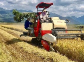 Image: Six key solutions to develop 'agriculture - countryside - farmers'